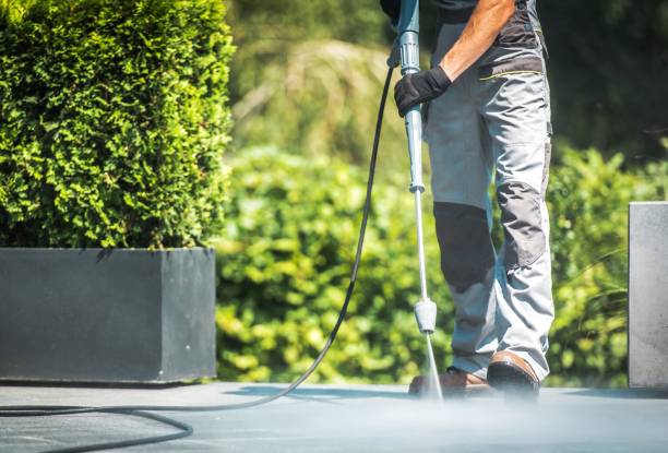 Best Sidewalk and Walkway Cleaning  in Crestline, CA