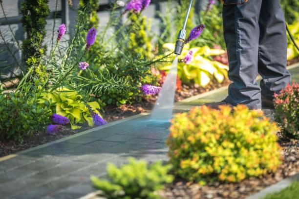 Best Restaurant Pressure Washing  in Crestline, CA