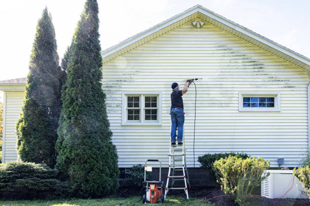 Best Fence Cleaning  in Crestline, CA
